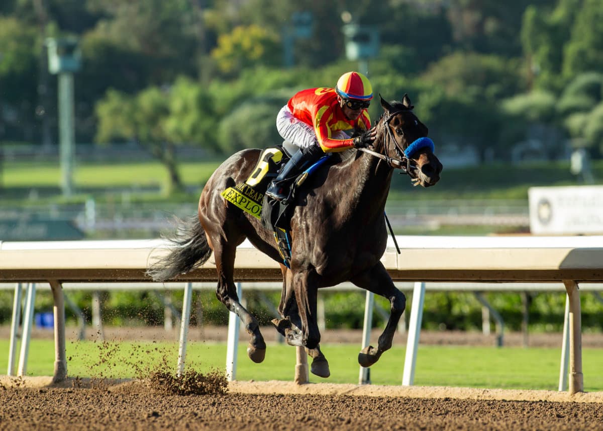 Cornucopian Headlines San Carlos Field With Subsanador, Stronghold Returning