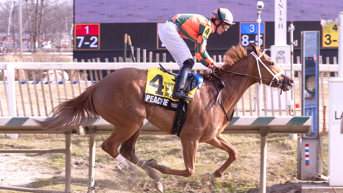 Russells Sweep Laurel Stakes with Peach Tie and Taj Mahal