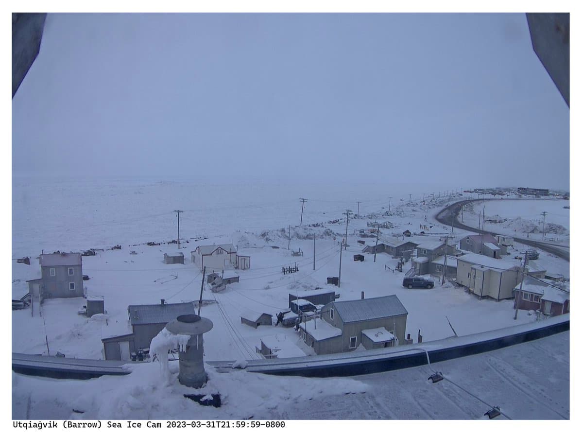 Sea Ice Webcam Restored in Utqiagvik, Reopening Critical Local Resource