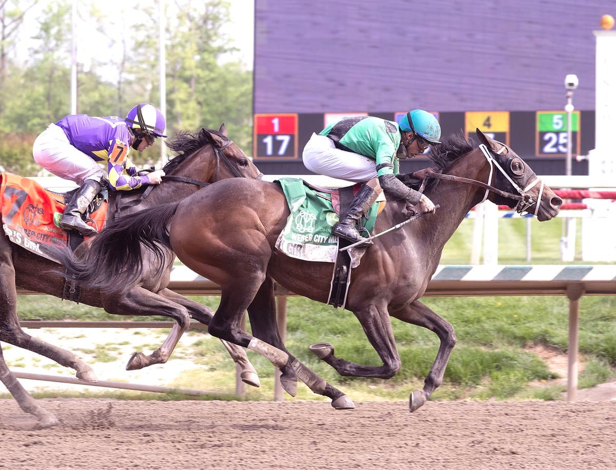 Ivy Girl Stretches Out to Win Weber City Miss Stakes at Laurel Park