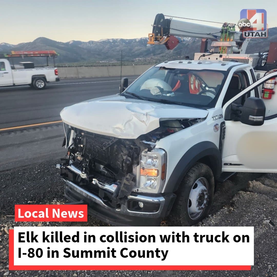 Truck strikes, kills elk on I-80 in Summit County