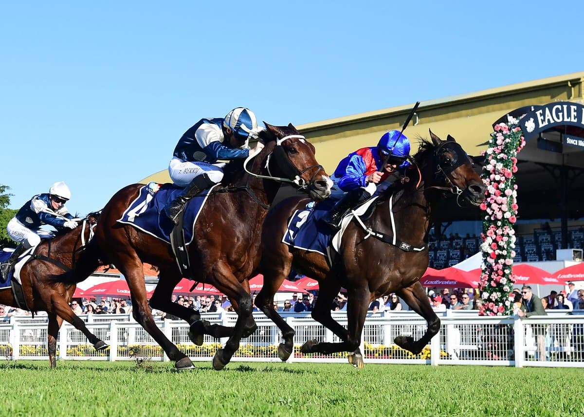War Eternal lands gritty Listed win to top A$1 million earnings
