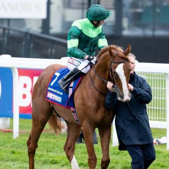 Trainers urge use of in-running data after Derby non-runner ruling