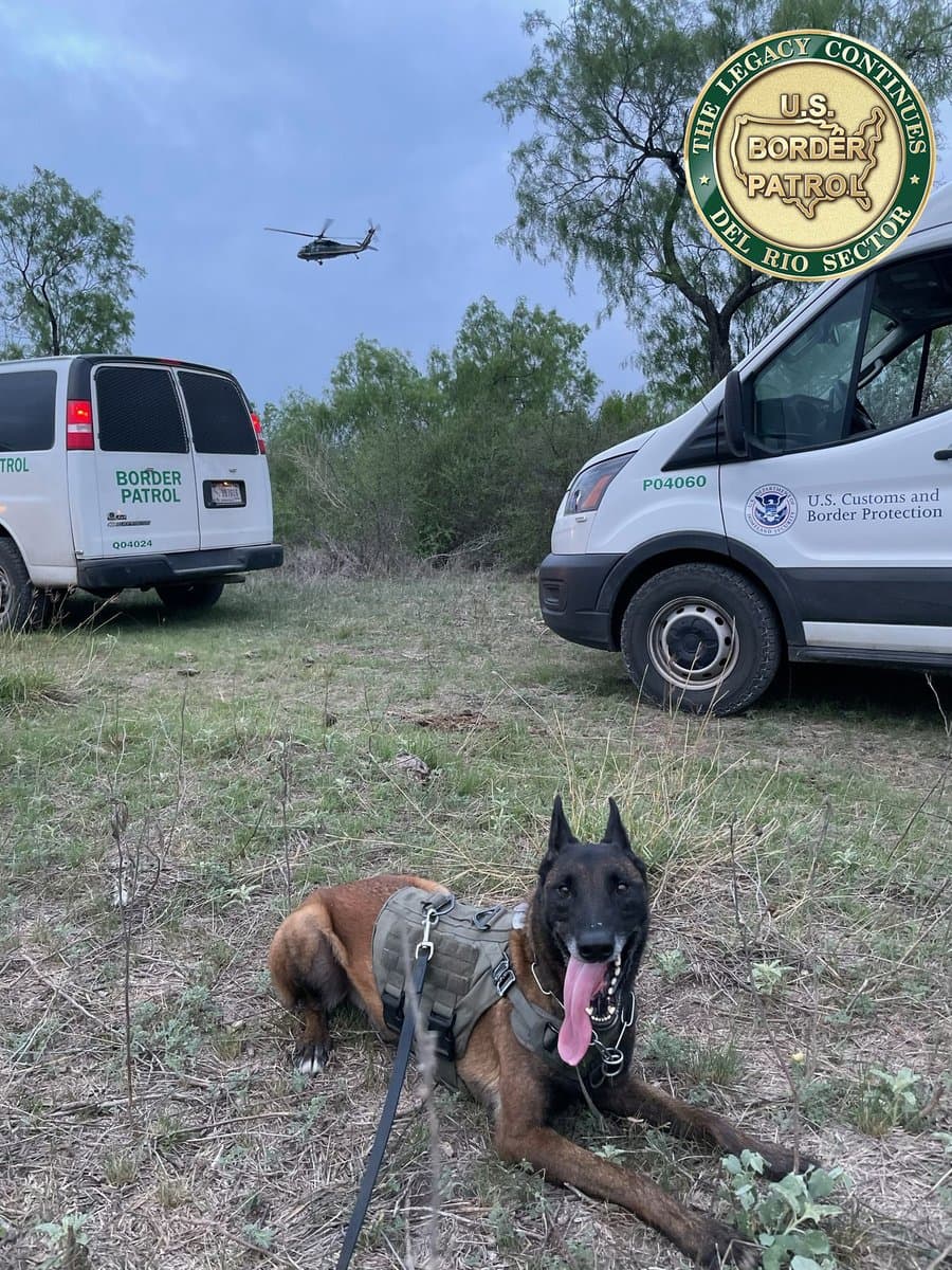 Border Patrol retires K9 Sam after seven years at Uvalde station