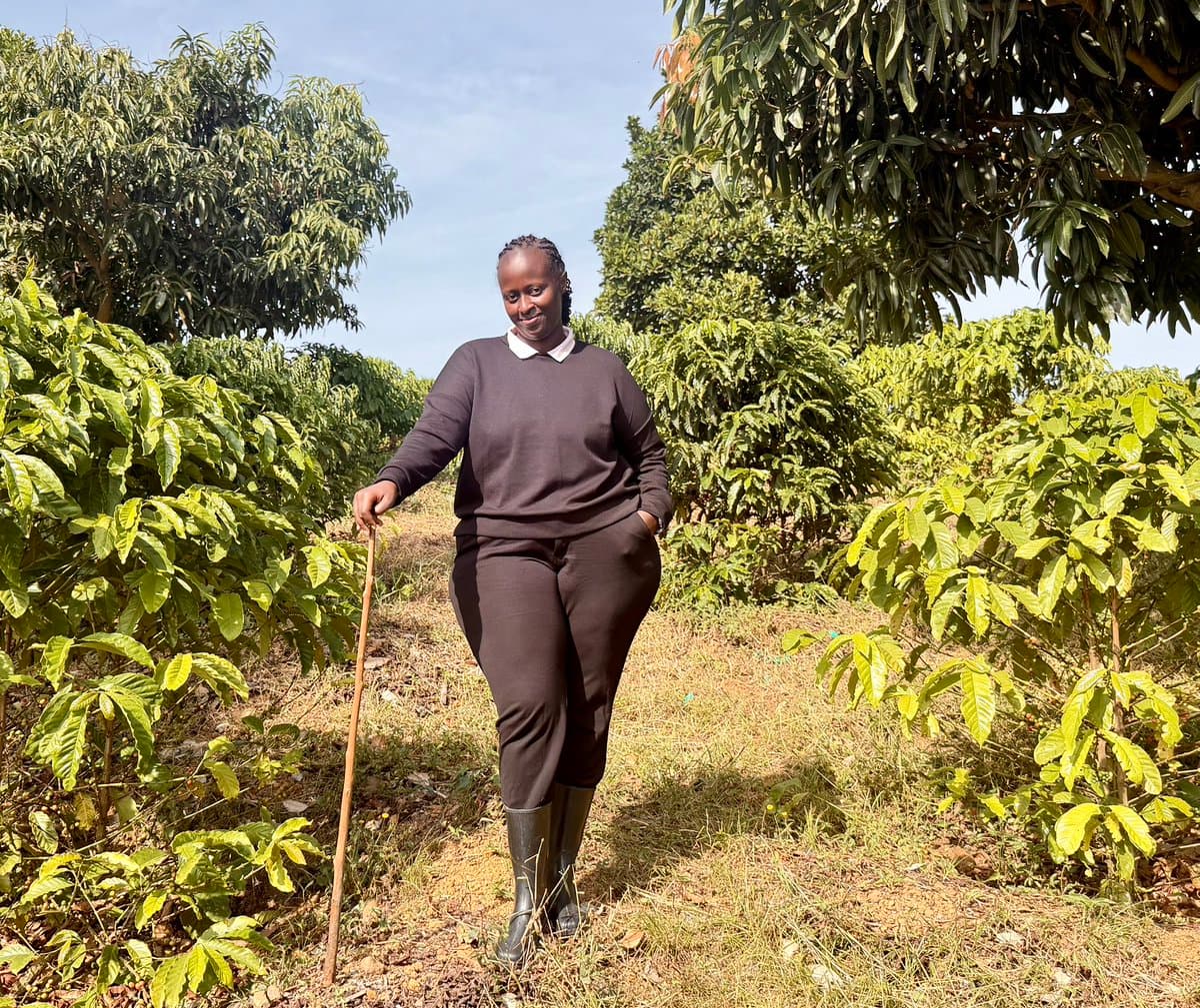 Long-term farm investment seen as key to coffee productivity