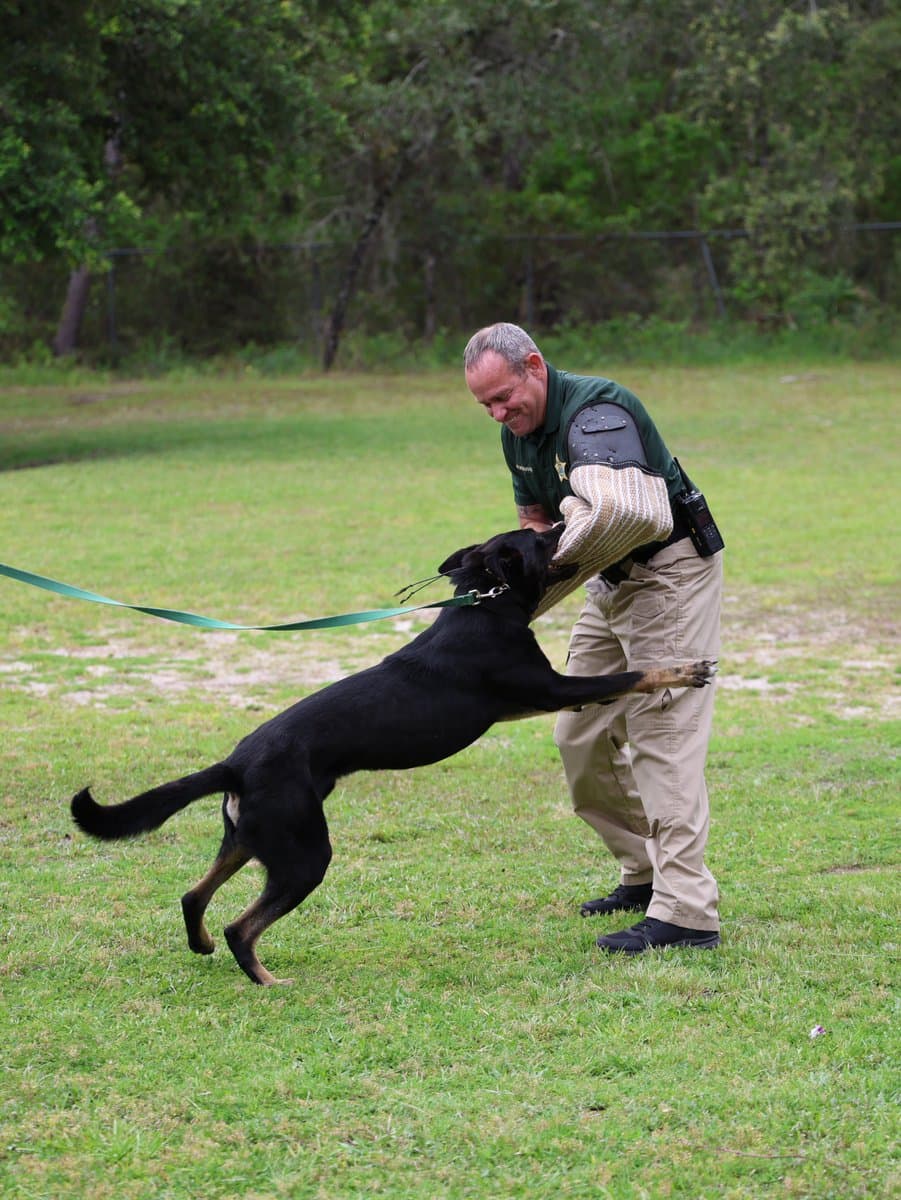 Hernando County Sheriff’s summer camp gives kids hands-on unit demos