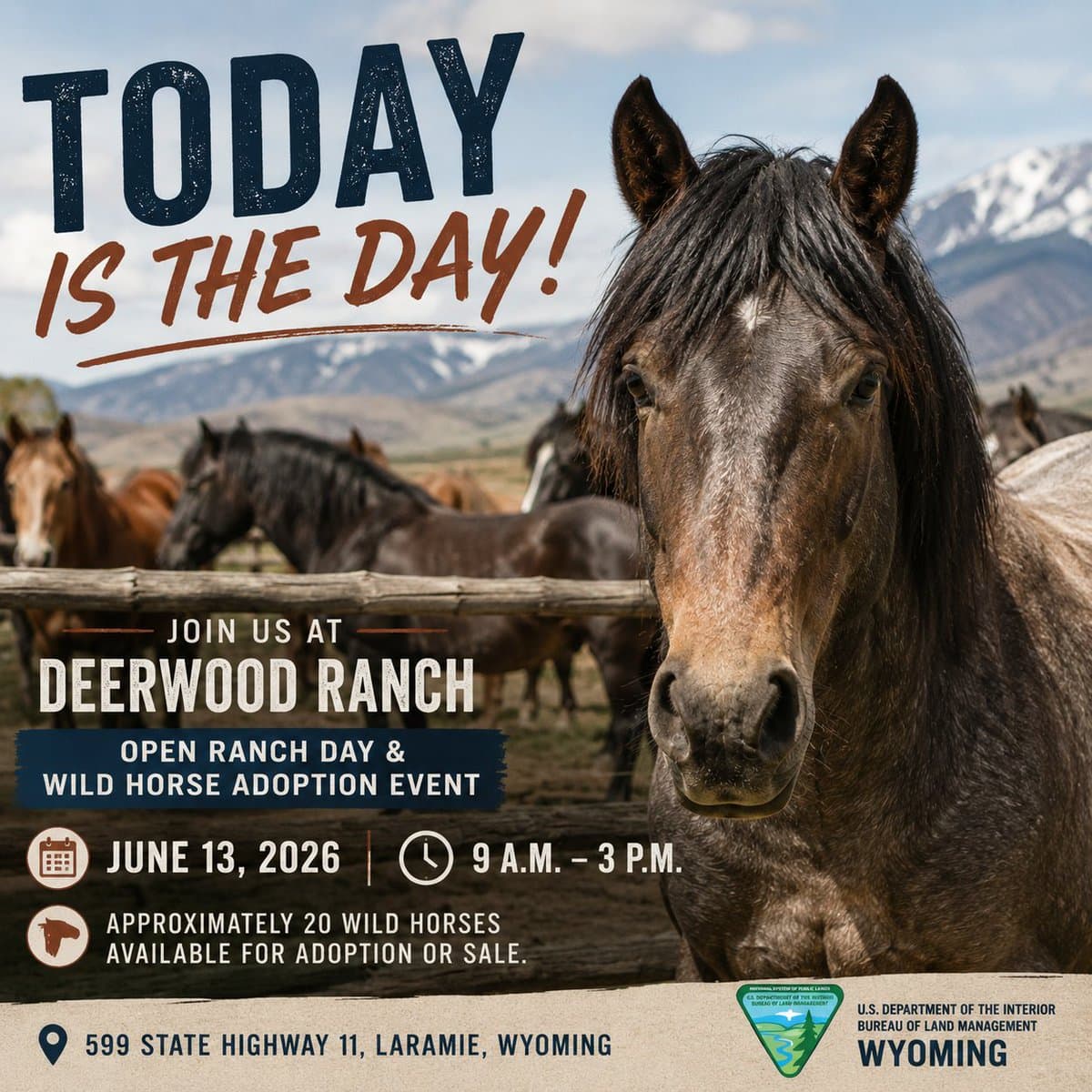 BLM hosts open ranch day, wild horse adoption event near Laramie