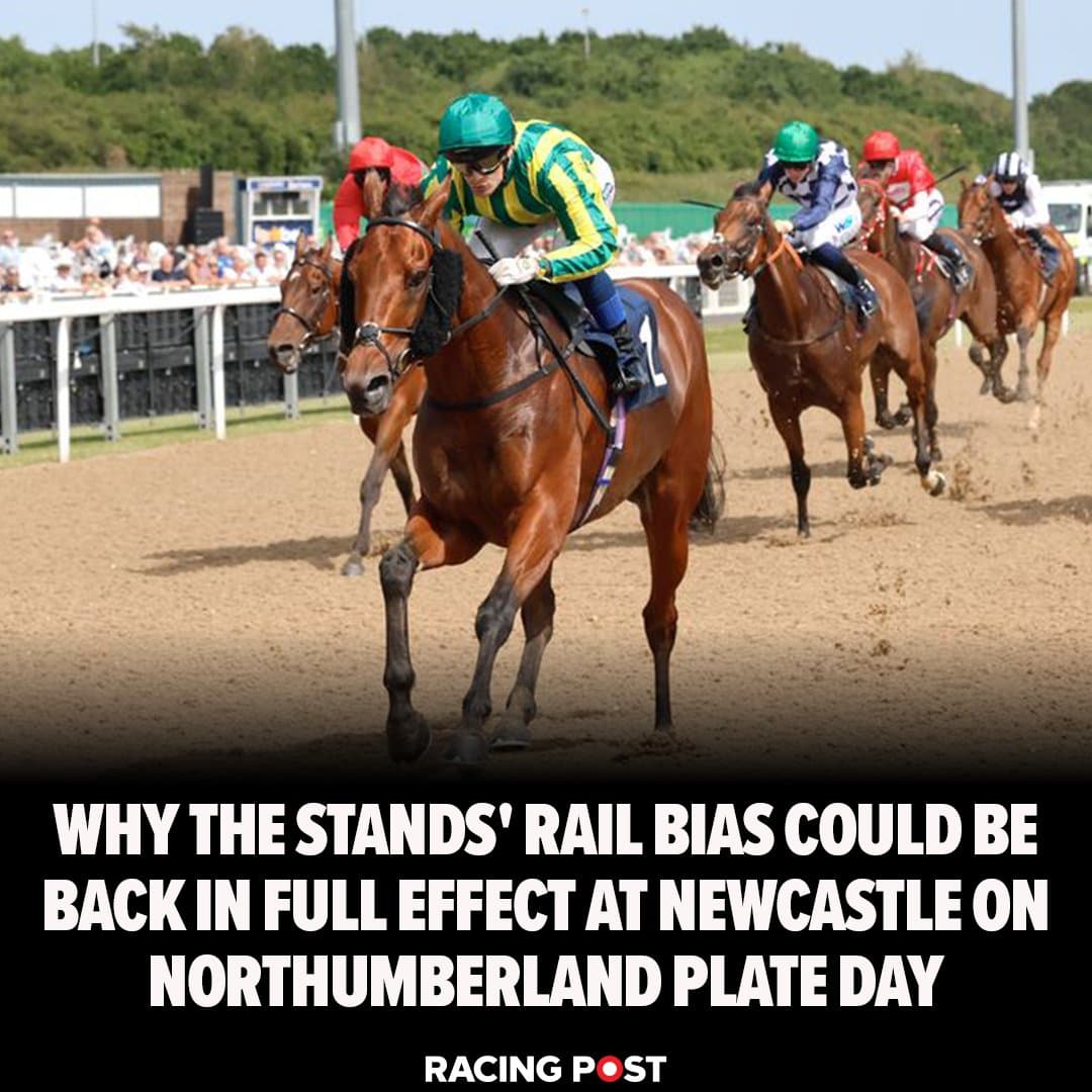 Newcastle track bias shapes Saturday betting on Northumberland Vase card
