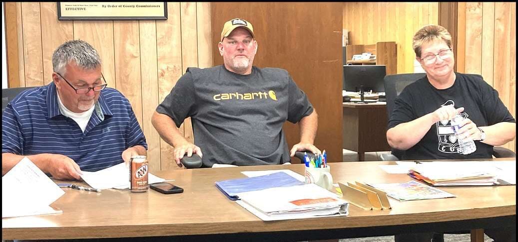 Center Township trustees review zoning rules for backyard chickens