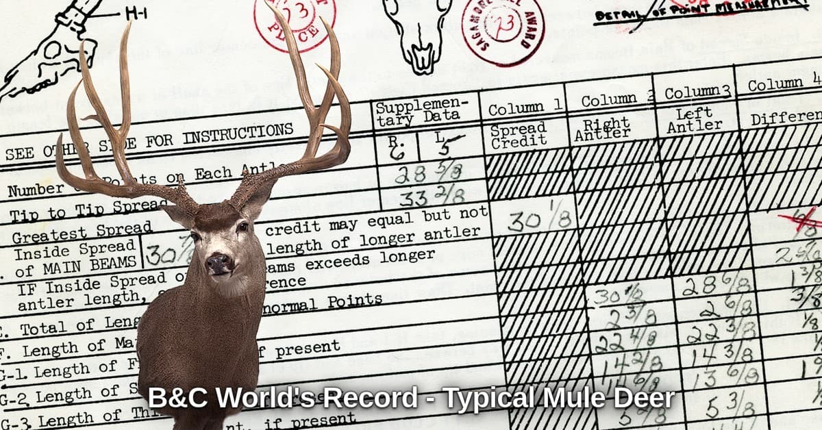 Dolores County hunt produced world-record typical mule deer buck