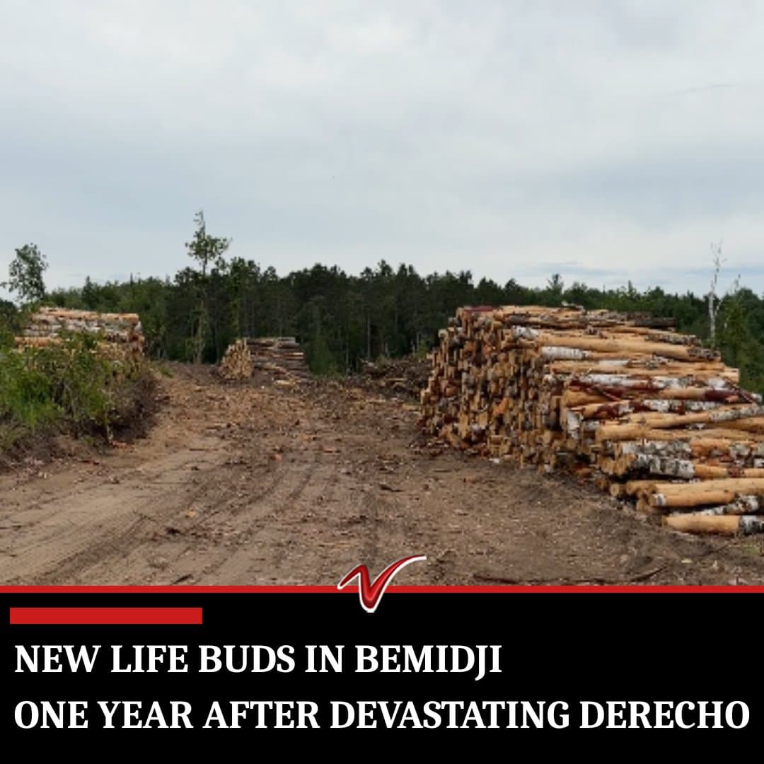 Bemidji recovery continues one year after derecho, wildfire risk remains