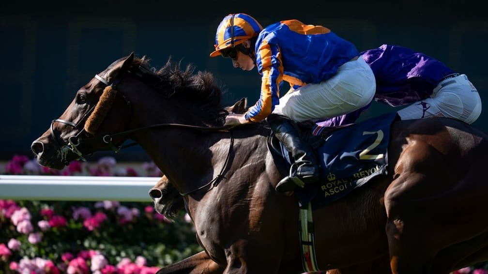 Amo Racing’s Royal Ascot near-misses highlight lessons for the future