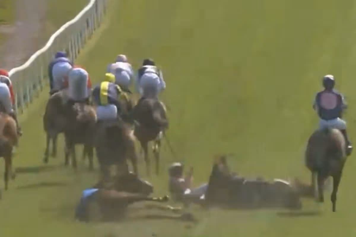 Fatal fall at Brighton leaves horse dead, jockey hospitalized