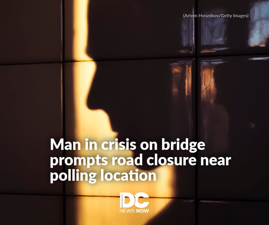 Police safely remove man from Lanham overpass near polling place