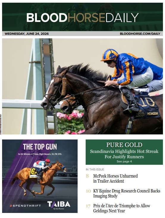 Kentucky council backs imaging study to improve racehorse safety