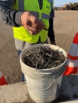 Douglas County reminds residents to prep loads for slash-mulch site