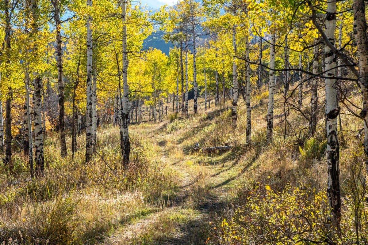 Residents push back on recreation plan for 910 Cattle Ranch