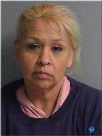 Beltrami County booking shows felony drug possession charge against Janice Skinaway