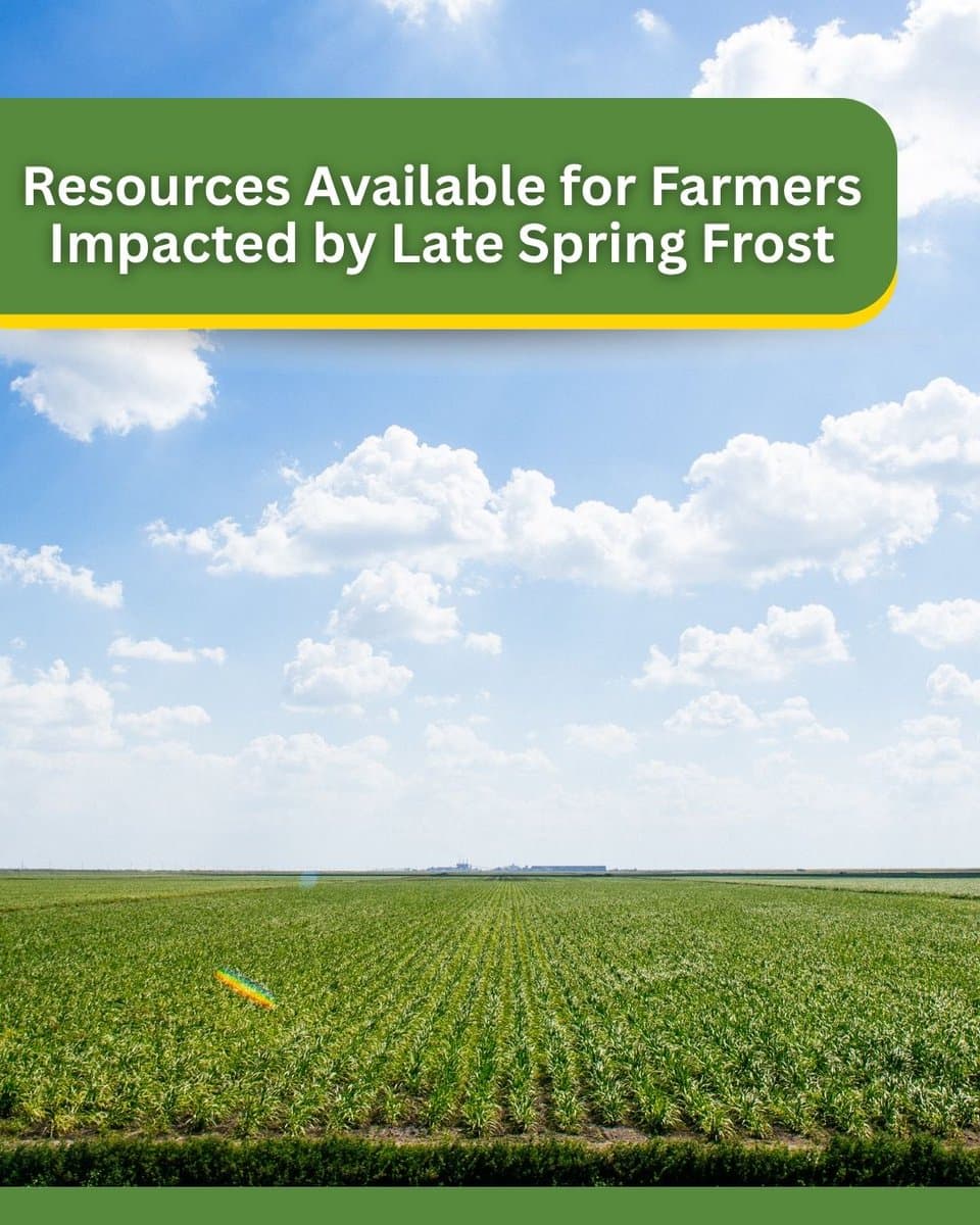 USDA disaster declaration covers Goochland County after late spring frost losses