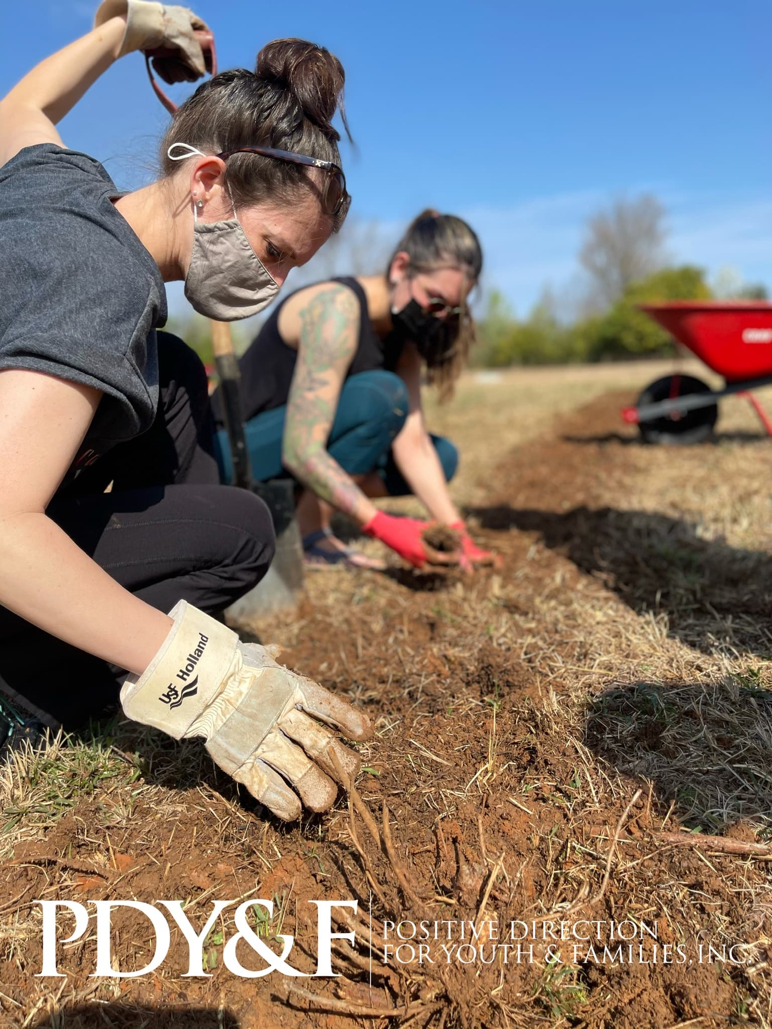 Summer rain revives Greensboro community garden, boosts food pantry crops