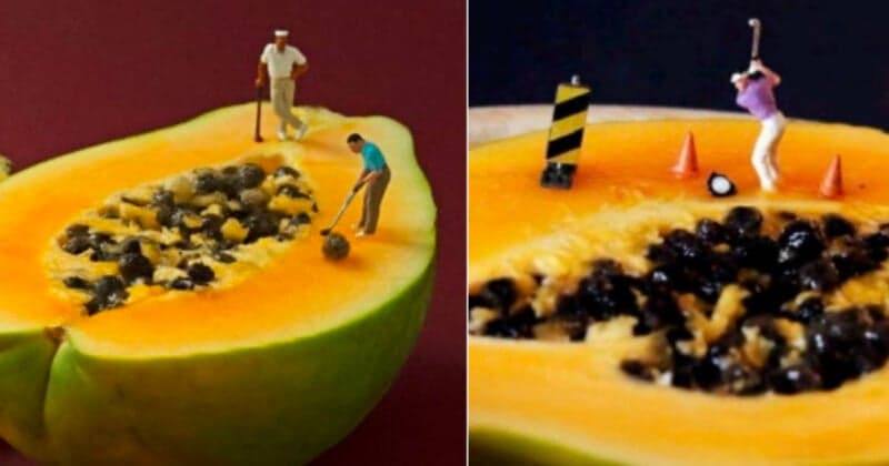 Court Weighs Copyright Limits in Miniature Food Photography Dispute
