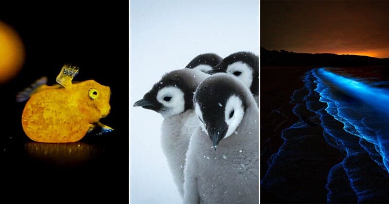 Beaker Street science photography prize unveils 26 finalists for 2026