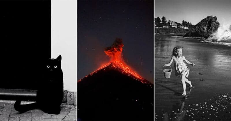 iPhone Photography Awards mark 20 years of smartphone artistry