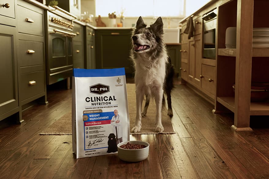 Dr. Pol launches nonprescription dog nutrition line at Walmart nationwide