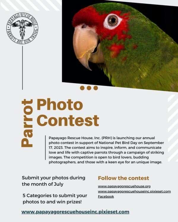 ParrotForums April Photo Contest Invites Spring Celebrations From Members