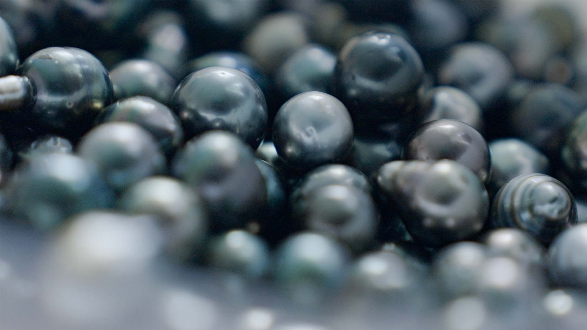 Your Guide to Buying Tahitian Pearls in French Polynesia