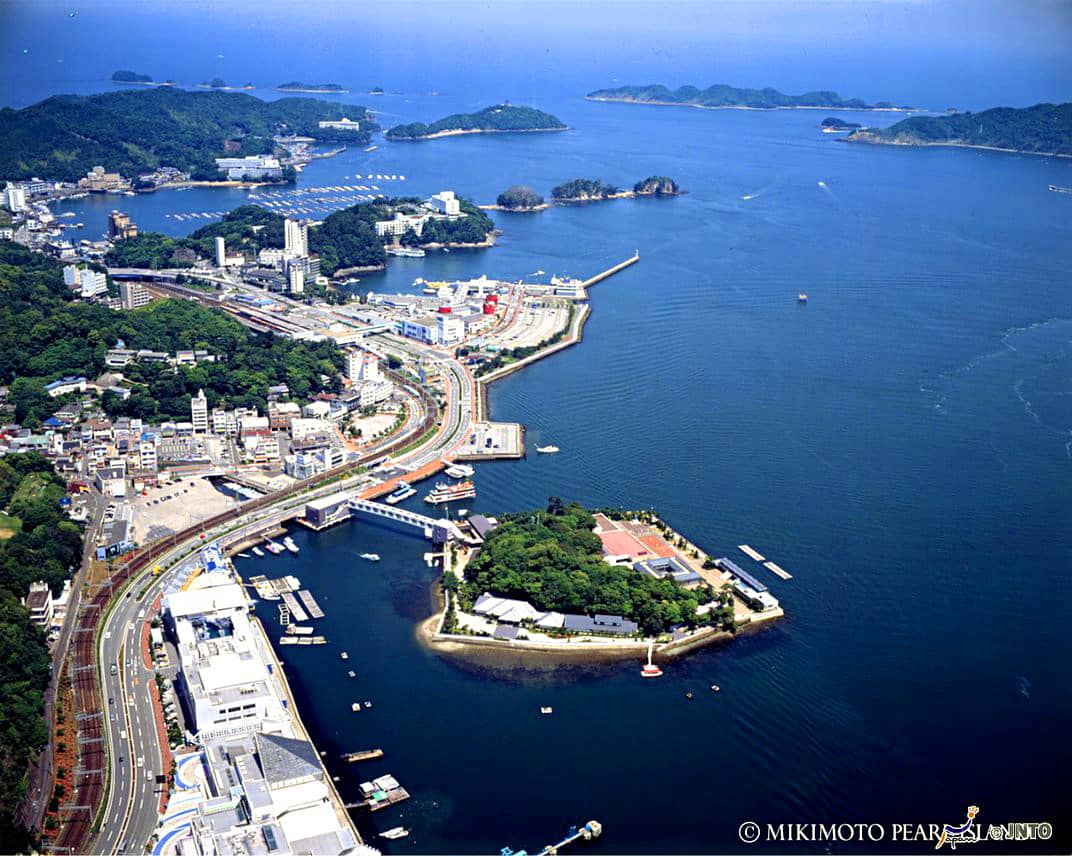 Blue Nile's Pearl Guide Covers Types, Care, and Smart Shopping Tips