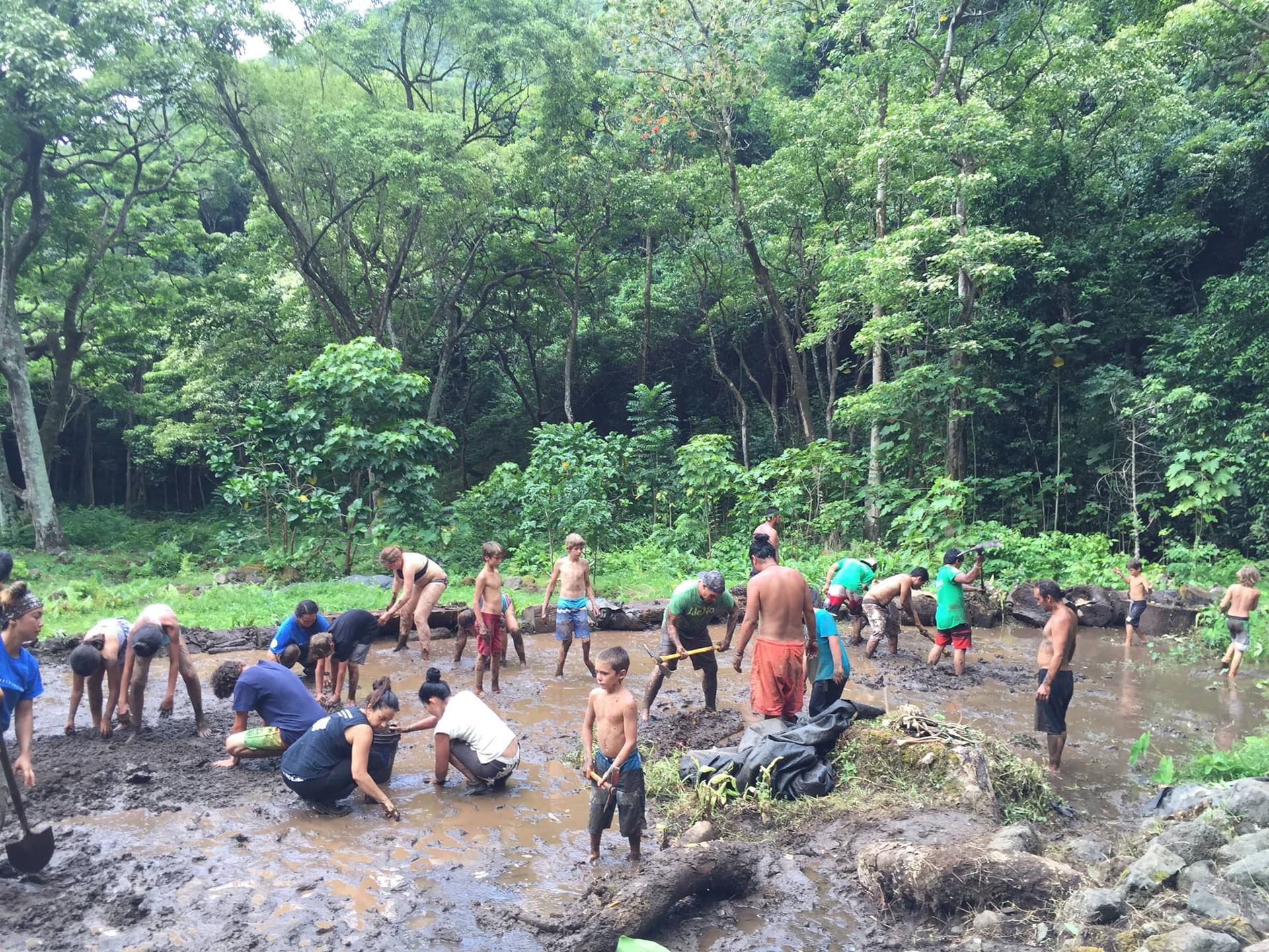 Big Island Jan. 30 to Feb. 5: Ancient Site Restoration, Theater, Walks