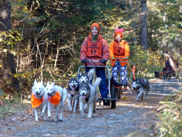 Inaugural NC Sandhills Dryland Mushing Challenge Draws Teams to Hoke Forest
