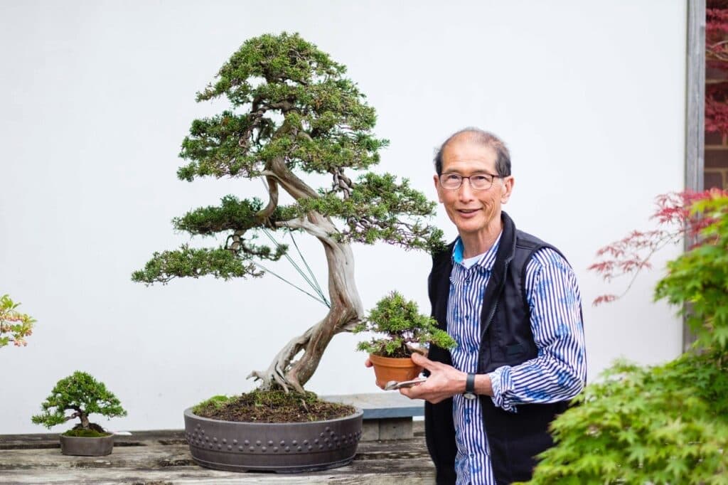Prairie State Bonsai Society prepares trees for August show