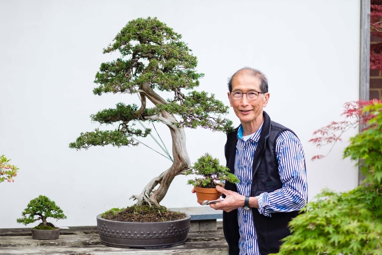 Prairie State Bonsai Society brings Peter Chan to Morton Arboretum festival