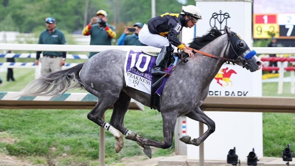 Chad Summers’ Preakness win crowns years of perseverance