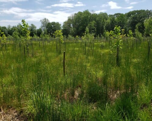 B8D LLC Project Near Bloomfield to Bring Jobs, Reservoir, and Public Park