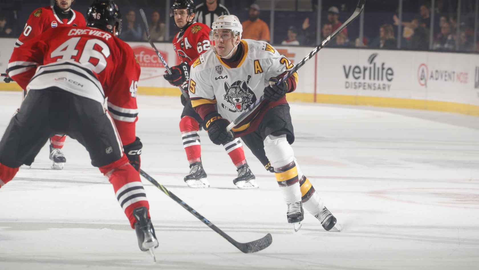 Wolves' Early Surge, Power-Play Hold Off IceHogs' Third-Period Rally
