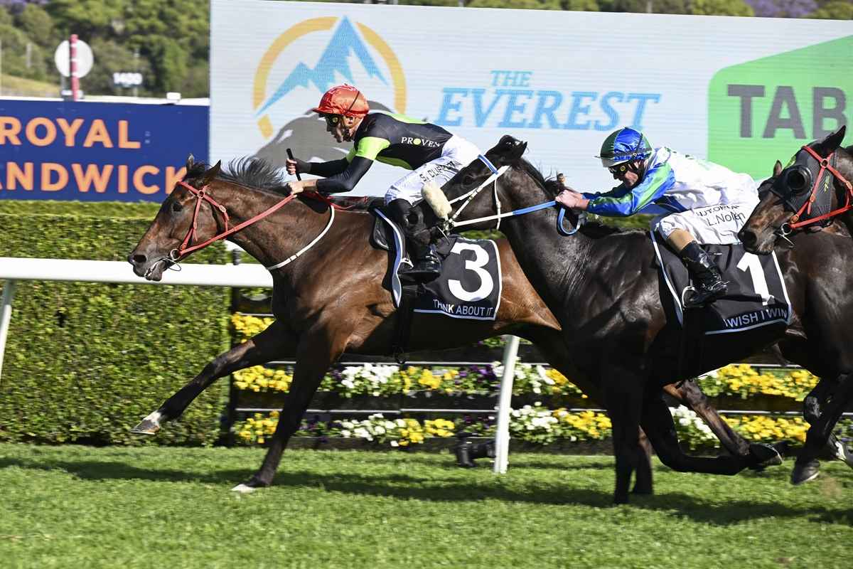 Seven-year-old Everest winner Think About It euthanised after colic surgery complications