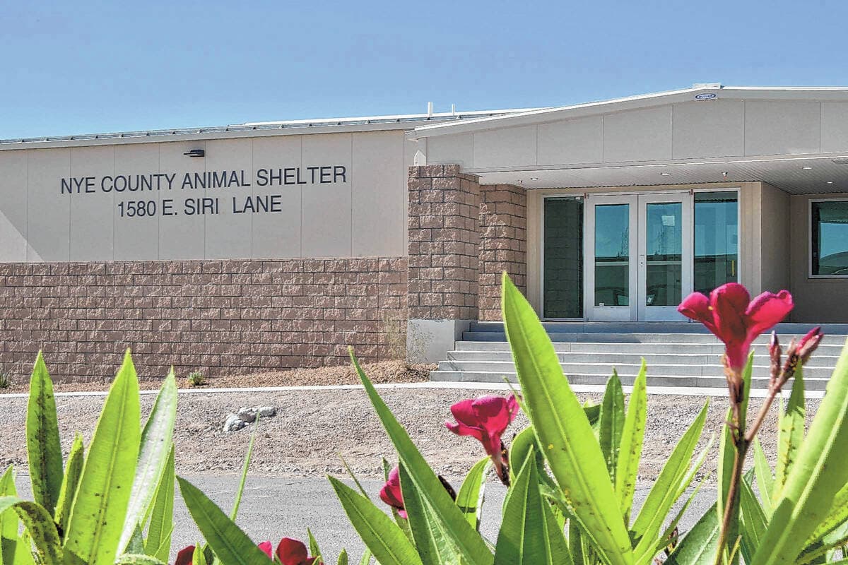Community Volunteers and Programs Drive Improvements at Nye County Animal Shelter