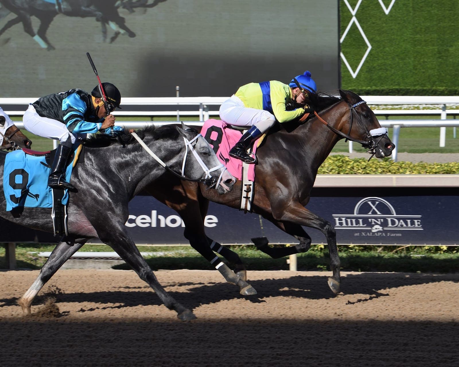 Florida House Commerce Committee Approves HB 881 to Decouple Live Thoroughbred Racing