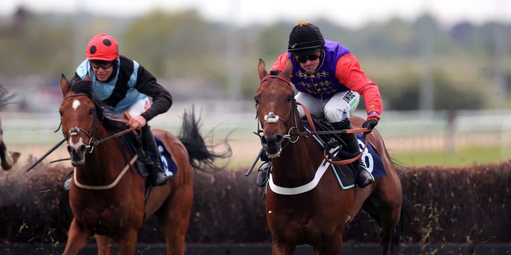 Constitution Hill Could Miss Southwell Flat Debut After Ballot