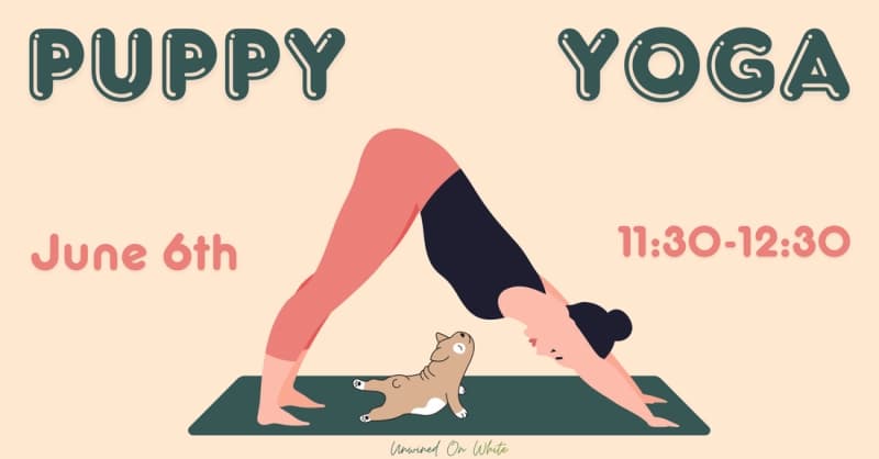 Puppy yoga class in Wake Forest raises funds for Saving Grace Animals
