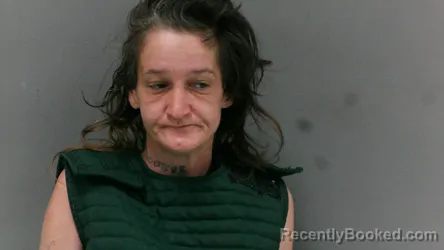 McDowell County Jail Logs Multiple Bookings From Late March Into April