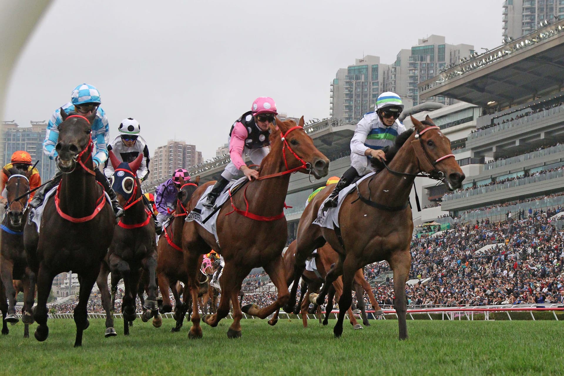 Hong Kong Derby Poses Tricky Puzzle for Punters Ahead of Sunday