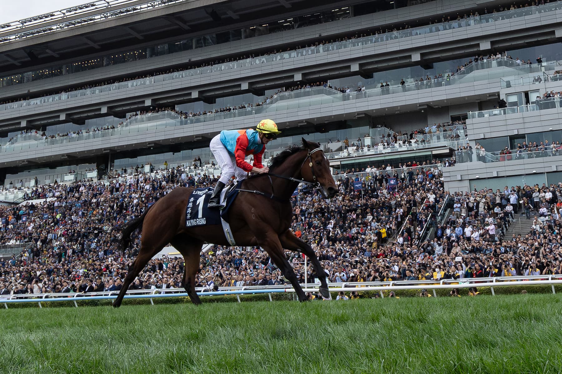 Ka Ying Rising Named Timeform Horse of Year After Everest, Champion Sprinter