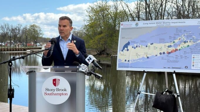Suffolk water bodies closed as toxic algae, Vibrio warnings rise