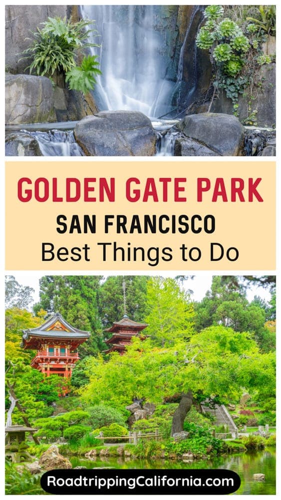 Top Must-See Spots and Practical Tips for Visiting Golden Gate Park