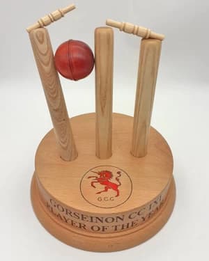 Ryedale Woodturners pack spring calendar with trophy demo and training nights