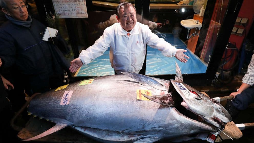 Record 535-Pound Bluefin Tuna Fetches $3.2 Million in Toyosu